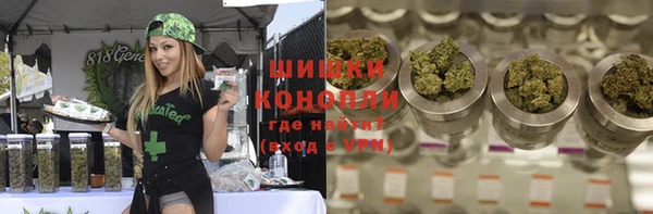 гидра Алексин