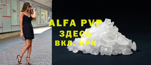 гидра Алексин